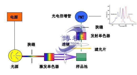 分子熒光結構圖-博精科技